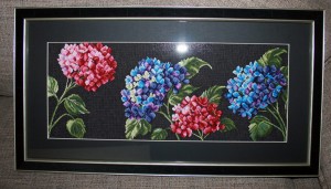Moonlight - Hydrangea 