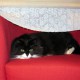 Comfy Chair